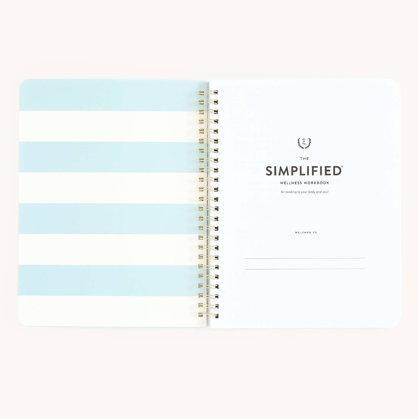 Simplified by Emily Ley - Workbook, Wellness