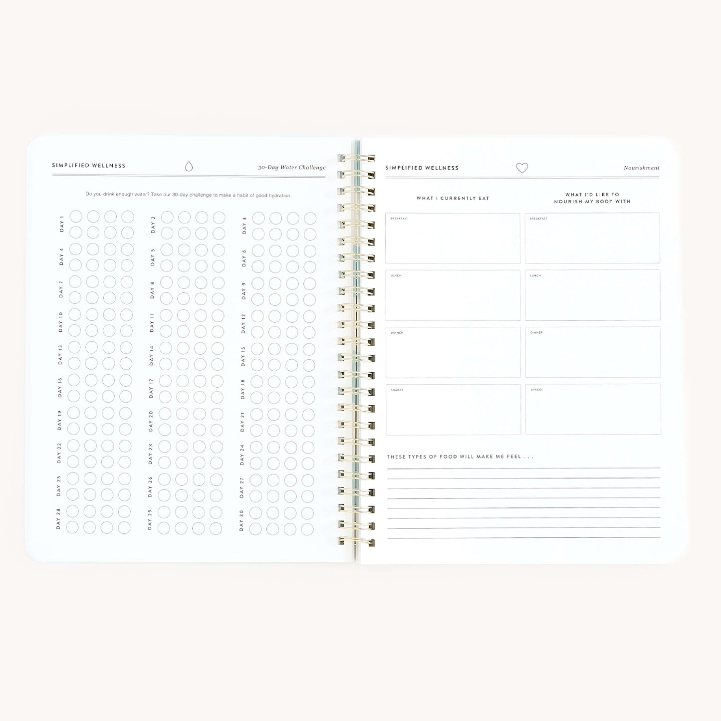 Simplified by Emily Ley - Workbook, Wellness