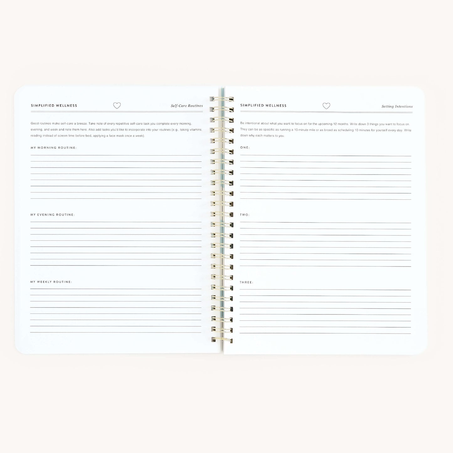 Simplified by Emily Ley - Workbook, Wellness